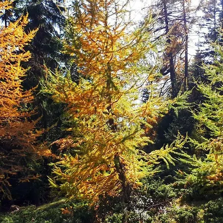 Chasa Staila Nyaraló Vna