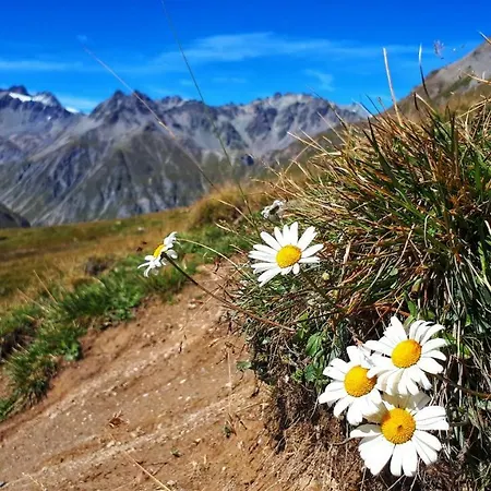 Chasa Staila Semesterbostad Vna