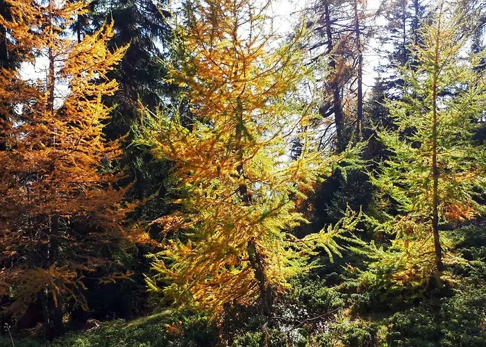 Chasa Staila Casa de Férias Vna