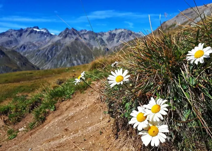 Chasa Staila Casa de Férias Vna