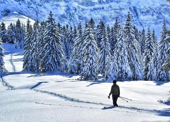 Casa de Férias Chasa Staila Vna